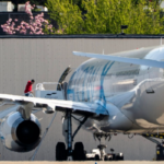 Immigrants boarding ICE deportation flight in Seattle during April 2025 operation.